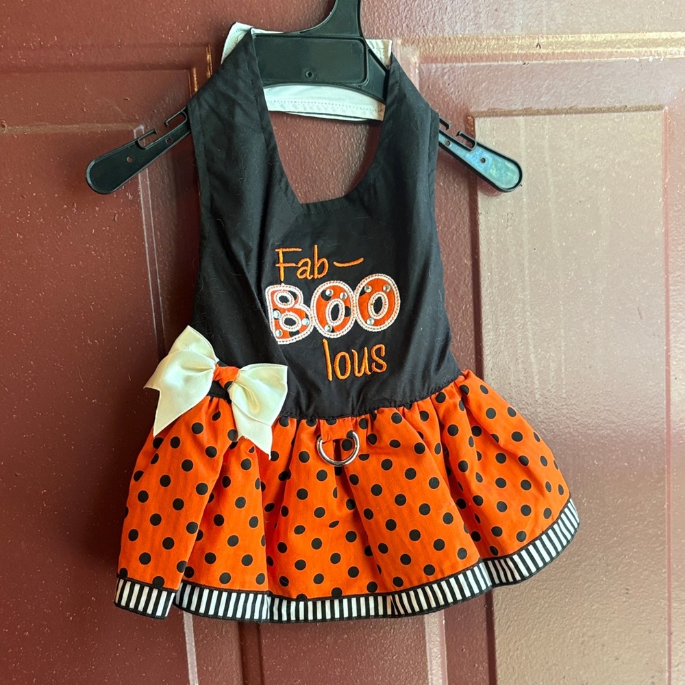 FA Halloween Dog Dress in Black and Orange